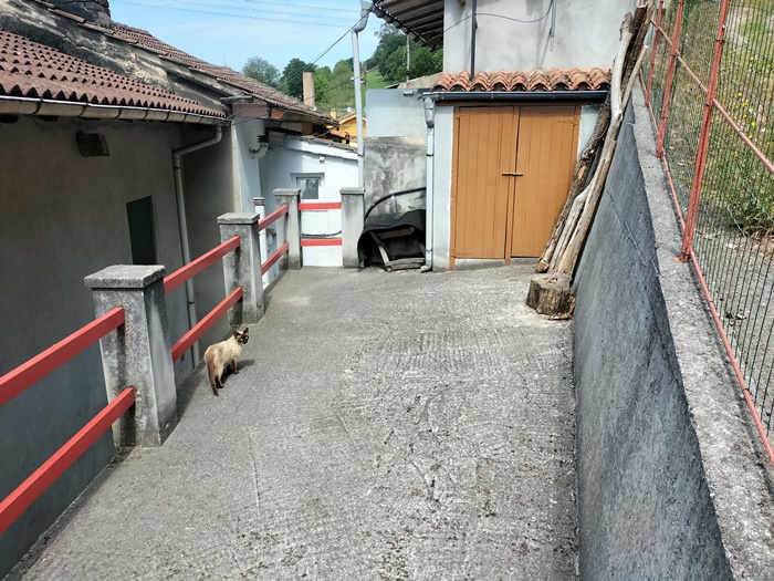 3 Bedrooms Bedrooms,1 BañoBathrooms,Casa,1079