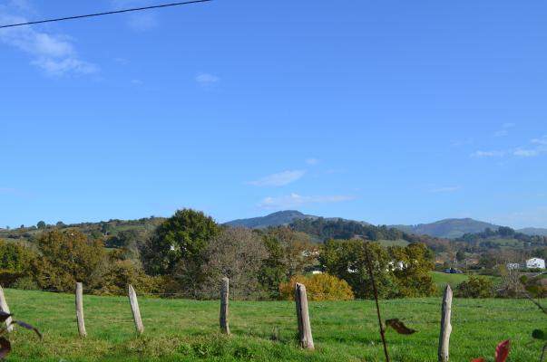 Terreno,1007
