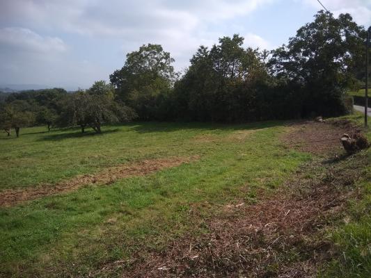 Terreno,1041