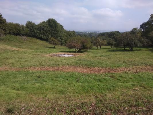 Terreno,1041