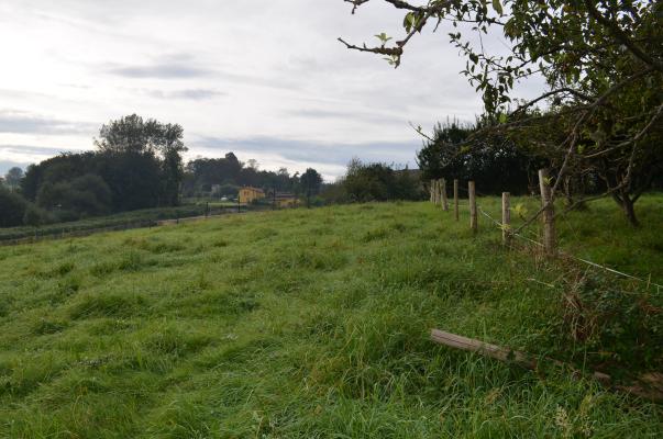 Terreno,1057