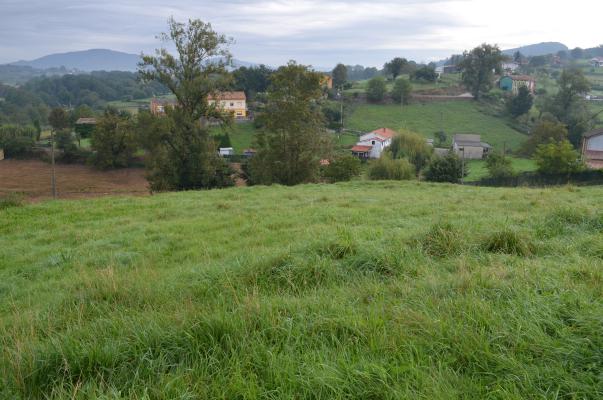 Terreno,1057